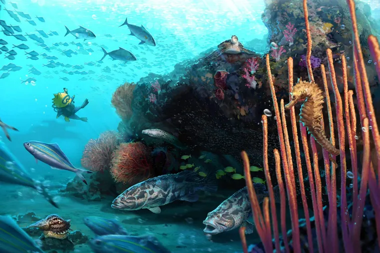 【海洋保育區，是海洋永續的最佳解答？】海洋博物誌帶你重新認識海洋保育區 Part 1