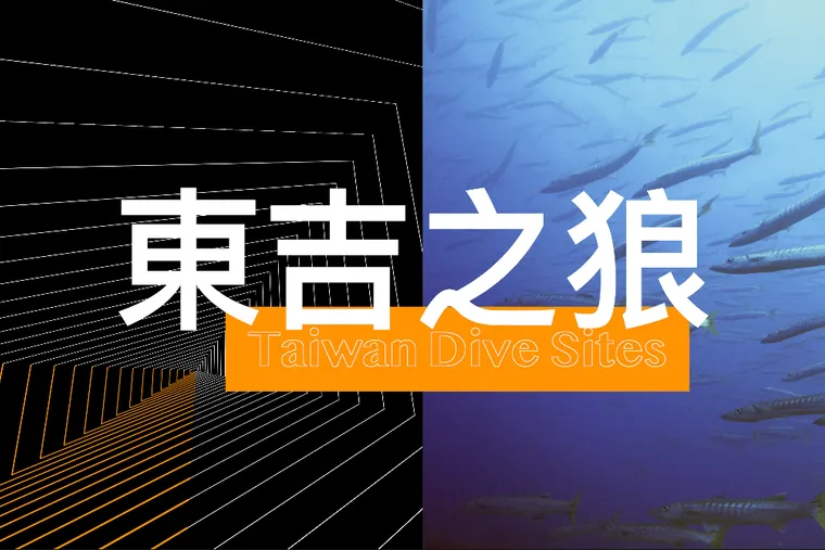 【Taiwan Dive Sites】不用出國也可以挑戰強流潛點之1-澎湖南四島 東吉之狼