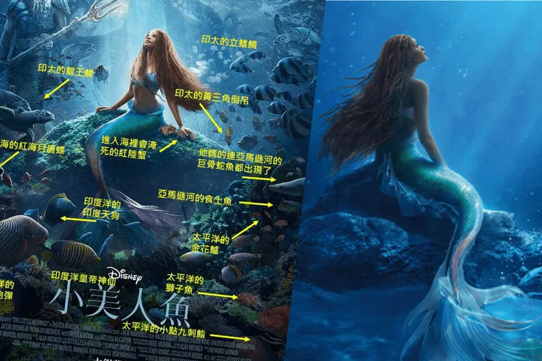 小美人魚真人版海報曝光「淡水魚也游進大西洋？！」那些電影海報教我的海洋教育