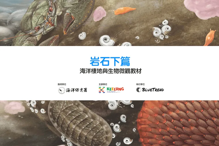 【布魯小教室】岩石下篇｜海洋棲地與生物微觀教材Part 3 ft. 海保署、基隆市政府
