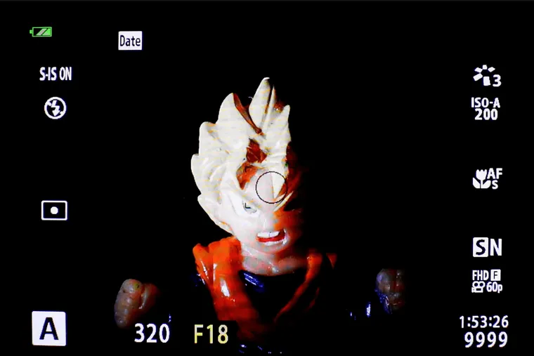【京太郎專欄 】水下攝影微距照黑背！只要 5 分鐘輕鬆學會