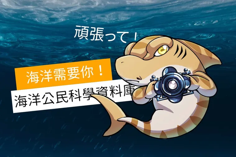 【布魯小教室】海洋公民科學資料庫 10 種簡易生物分類法