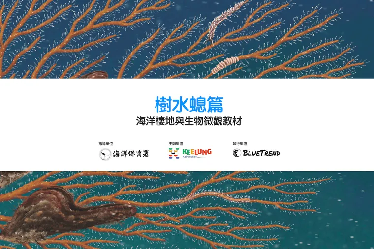 【布魯小教室】樹水螅篇｜海洋棲地與生物微觀教材Part 7  ft. 海保署、基隆市政府