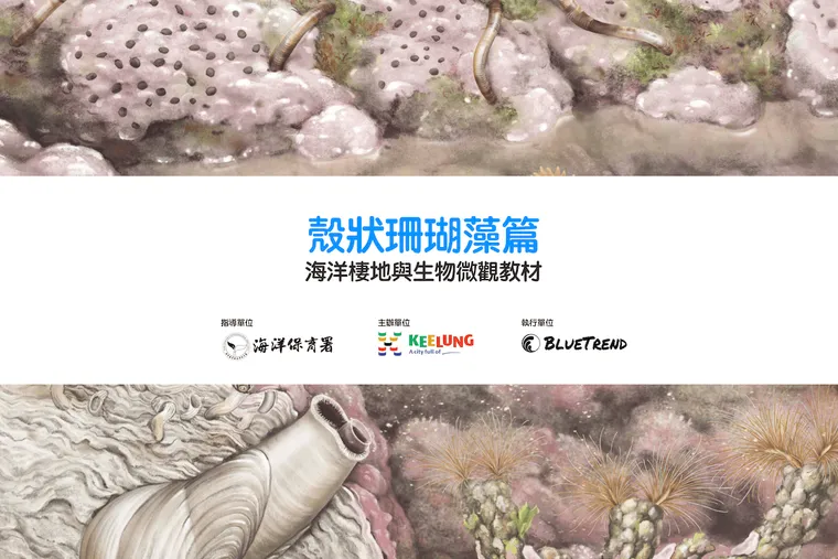 【布魯小教室】殼狀珊瑚藻篇｜海洋棲地與生物微觀教材Part 4 ft. 海保署、基隆市政府