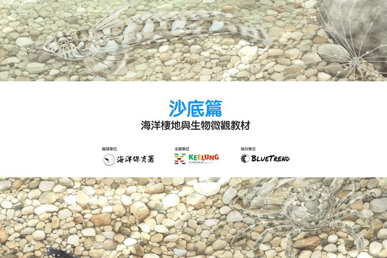 【布魯小教室】沙底篇｜海洋棲地與生物微觀教材Part 8  ft. 海保署、基隆市政府