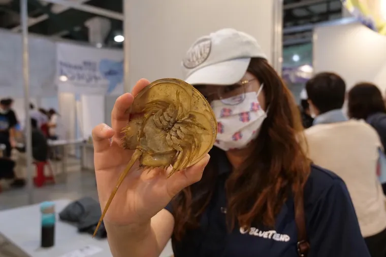 用在地的方式守護海洋，尋求共鳴是跨過同溫層的第1步