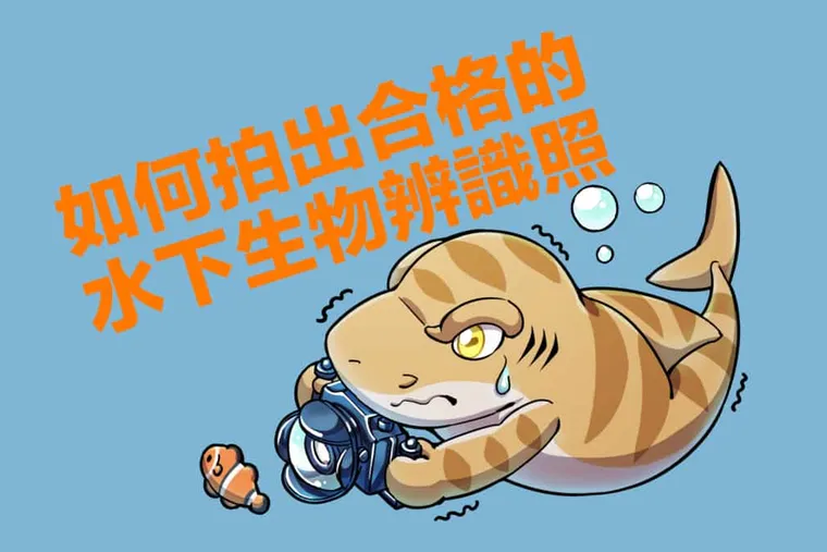 海洋公民科學家的第 1 堂課-如何拍出水下生物辨識照