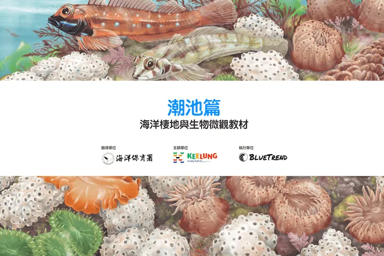 【布魯小教室】潮池篇｜海洋棲地與生物微觀教材Part 2 ft. 海保署、基隆市政府