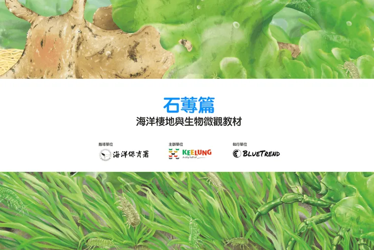 【布魯小教室】石蓴篇｜海洋棲地與生物微觀教材Part 1 ft. 海保署、基隆市政府