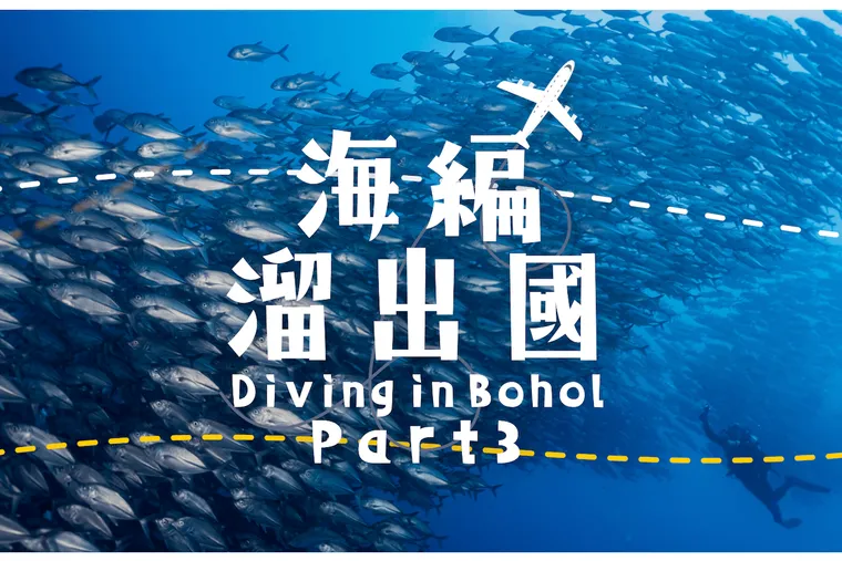 【菲律賓薄荷島、邦勞、巴里卡薩】潛往 Pamilacan Island +觀禮自由潛水台灣盃選手之夜 feat. 海島瘋