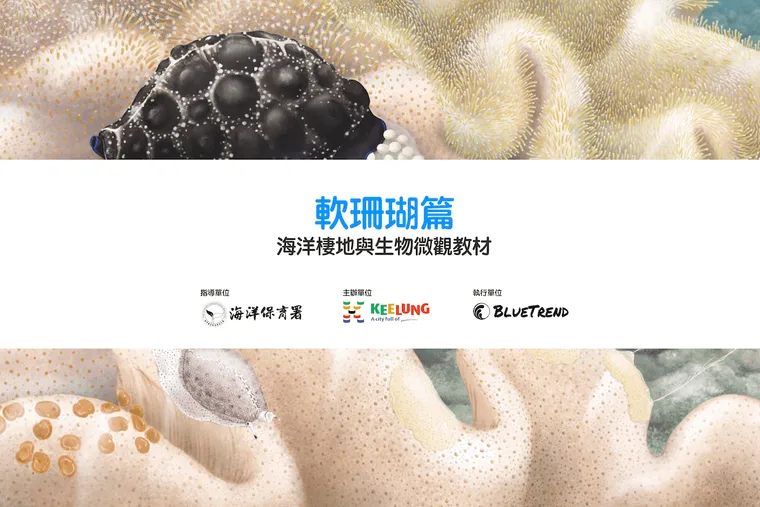 【布魯小教室】軟珊瑚篇｜海洋棲地與生物微觀教材Part 5 ft. 海保署、基隆市政府