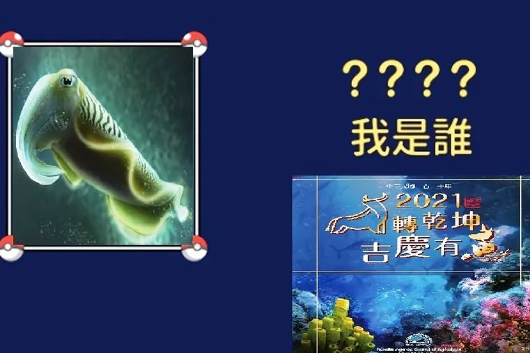 【 1 輩子一定要擁有的月曆】漁業署錯誤百出＋官僚=台灣漁業政策打問號？