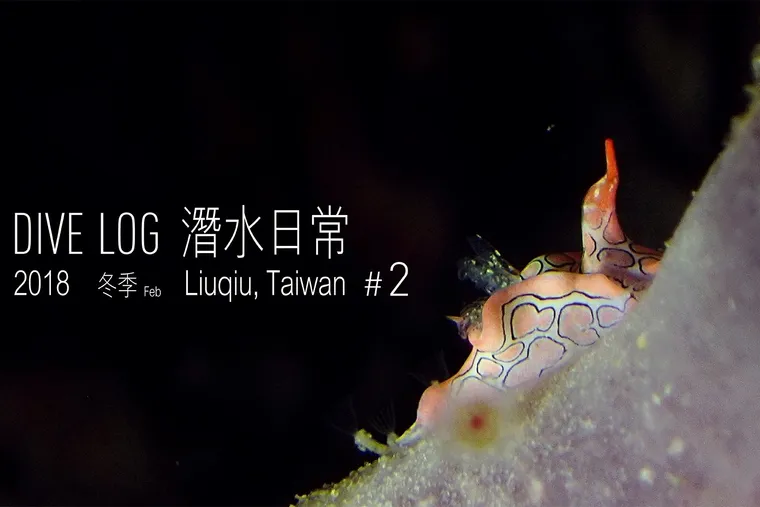 OCEAN LOG 海洋潛水日常 #2 - 徐伯元