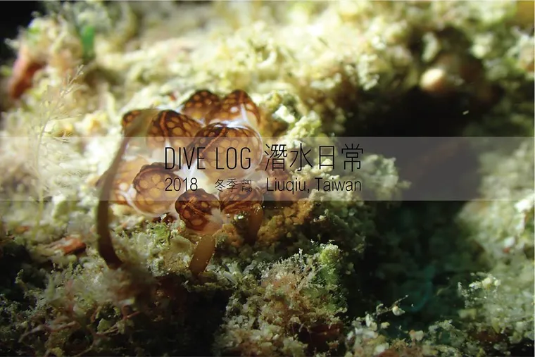 OCEAN LOG 小琉球海洋日常 #1 - 徐伯元