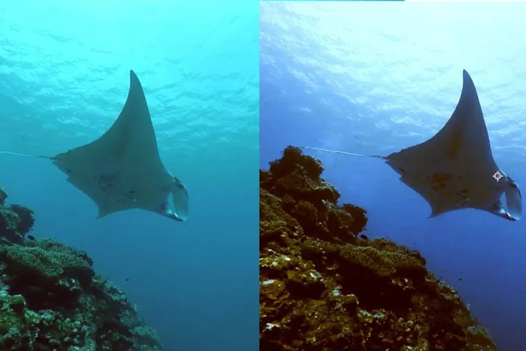 GoPro沒裝濾鏡如何修正影片顏色