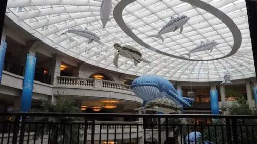來一場台北信義區的海洋之旅