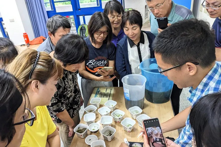 守護海草床 走入鹽田當個公民科學家