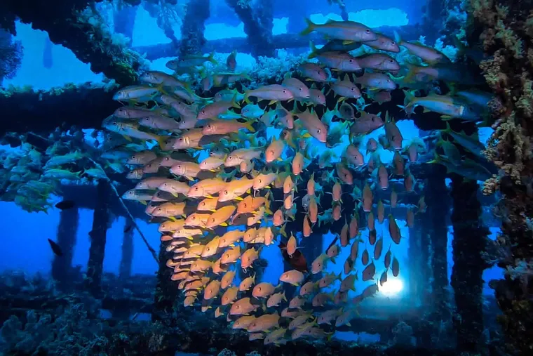 準備前往綠島 ( Green Island ) 潛水了嗎？網路上最完整的綠島潛點介紹就在這 1 篇
