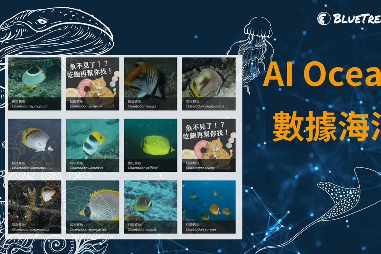 AI Ocean 數據海洋 海洋生物AI辨識甘苦談