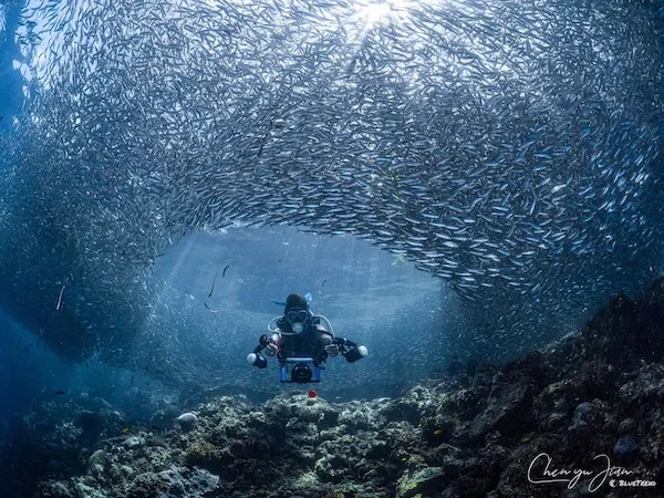 當公民遇見科學-海洋生物資料庫的成立