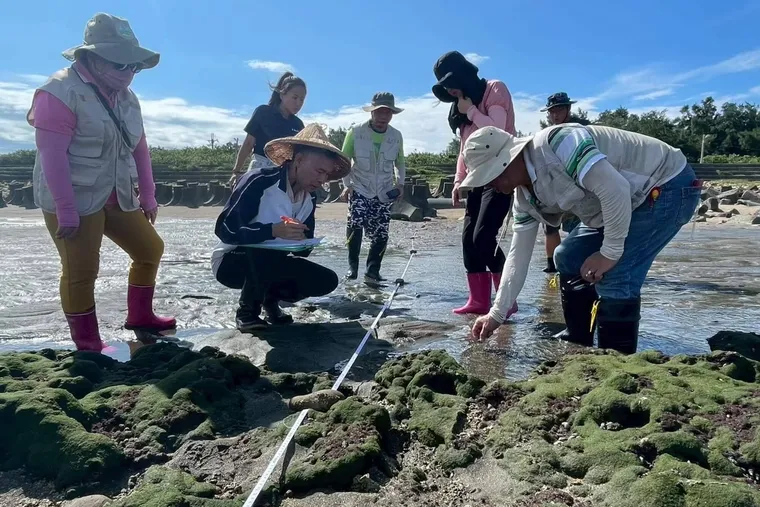 桃園藻礁現在進行式｜共生的海岸：桃園永興社區在生態旅程中發現新的機會