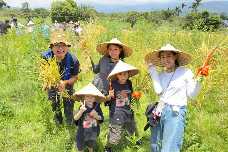 從宜蘭稻田到澎湖珊瑚礁：一粒稻米，如何接力成為守護海洋的力量