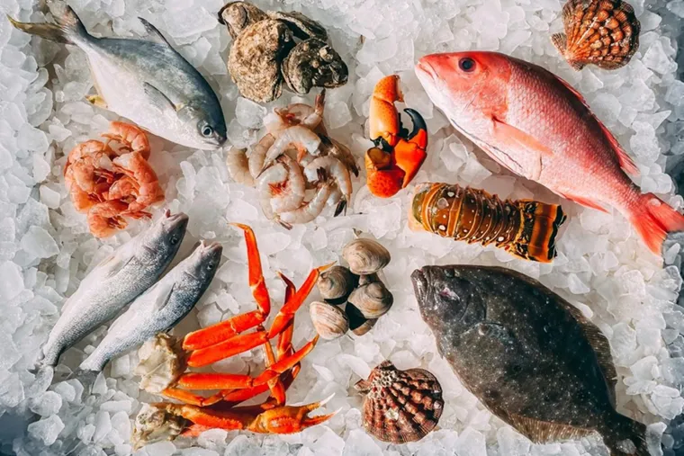 便宜海鮮的代價是什麼？底拖網的成本比你想像還高