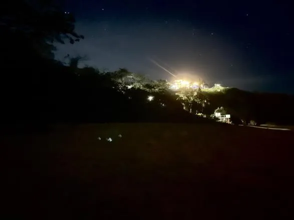憂燈光讓海龜誤判方向，澳洲蒼鷺島「關燈」成默契，小琉球呢？