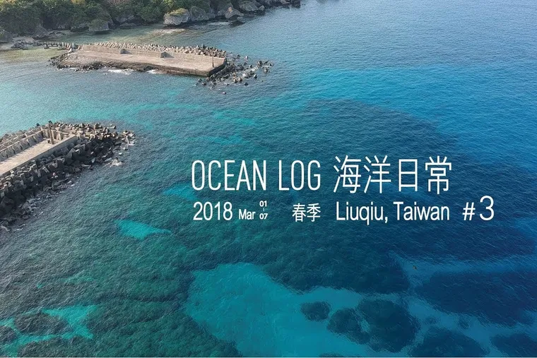 OCEAN LOG 海洋日常 #3  沙丁魚 , 春暖 , 海龜的生與死 - 徐伯元