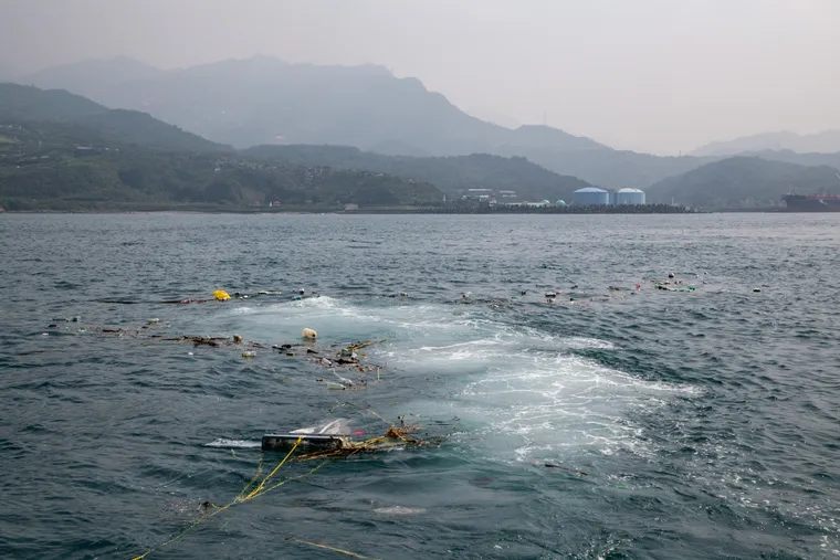 集眾之力的守護行動：你也能成為說走就走的「海廢」公民科學家！