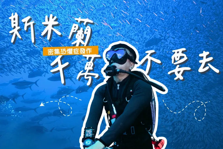 斯米蘭船宿潛水全攻略｜Richelieu Rock 魚群炸裂、船上麻辣鍋吃到撐，潛水員的夢幻天花板！
