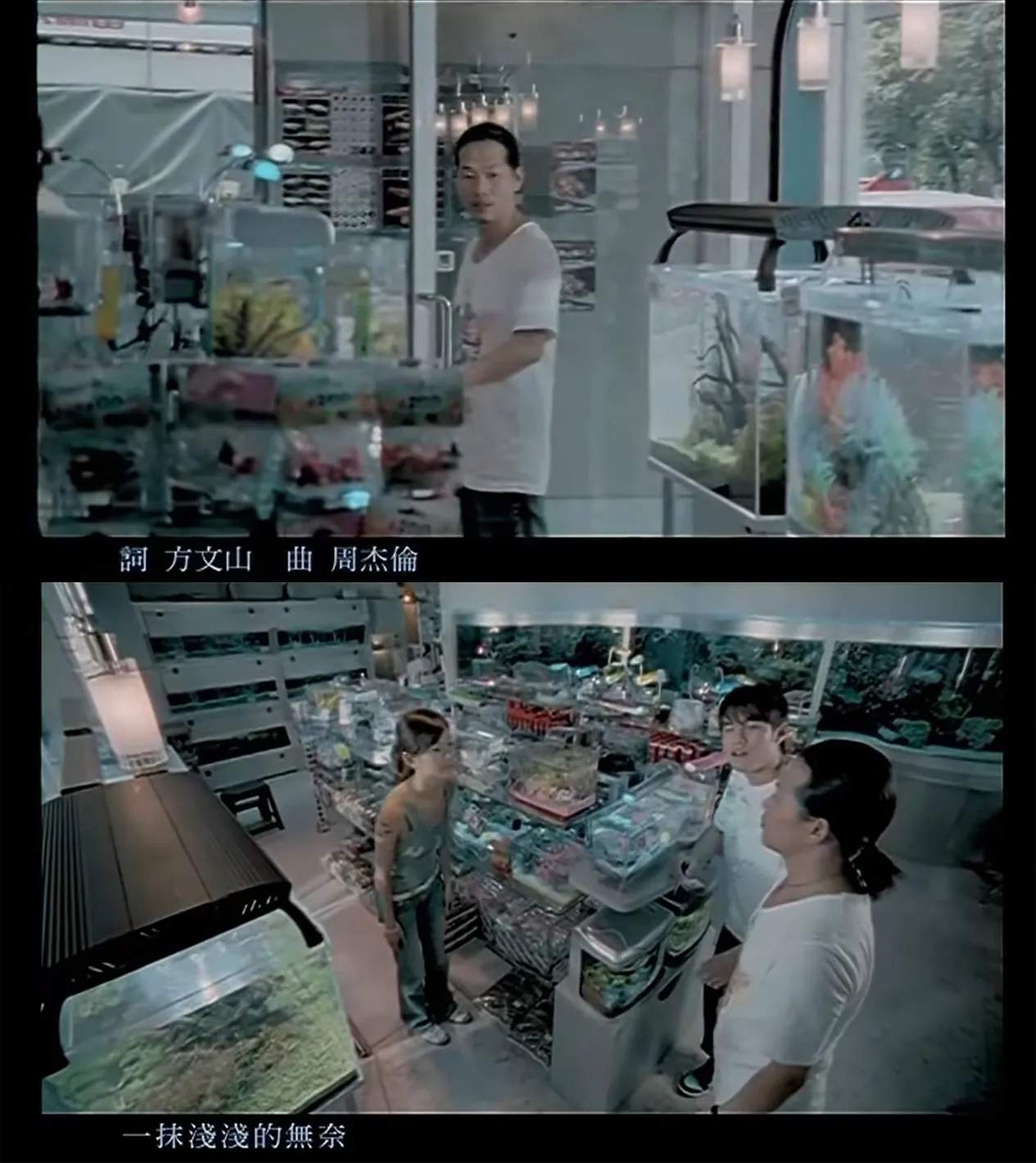 聽過周杰倫唱的珊瑚海，也想實際走訪澳洲珊瑚海嗎？