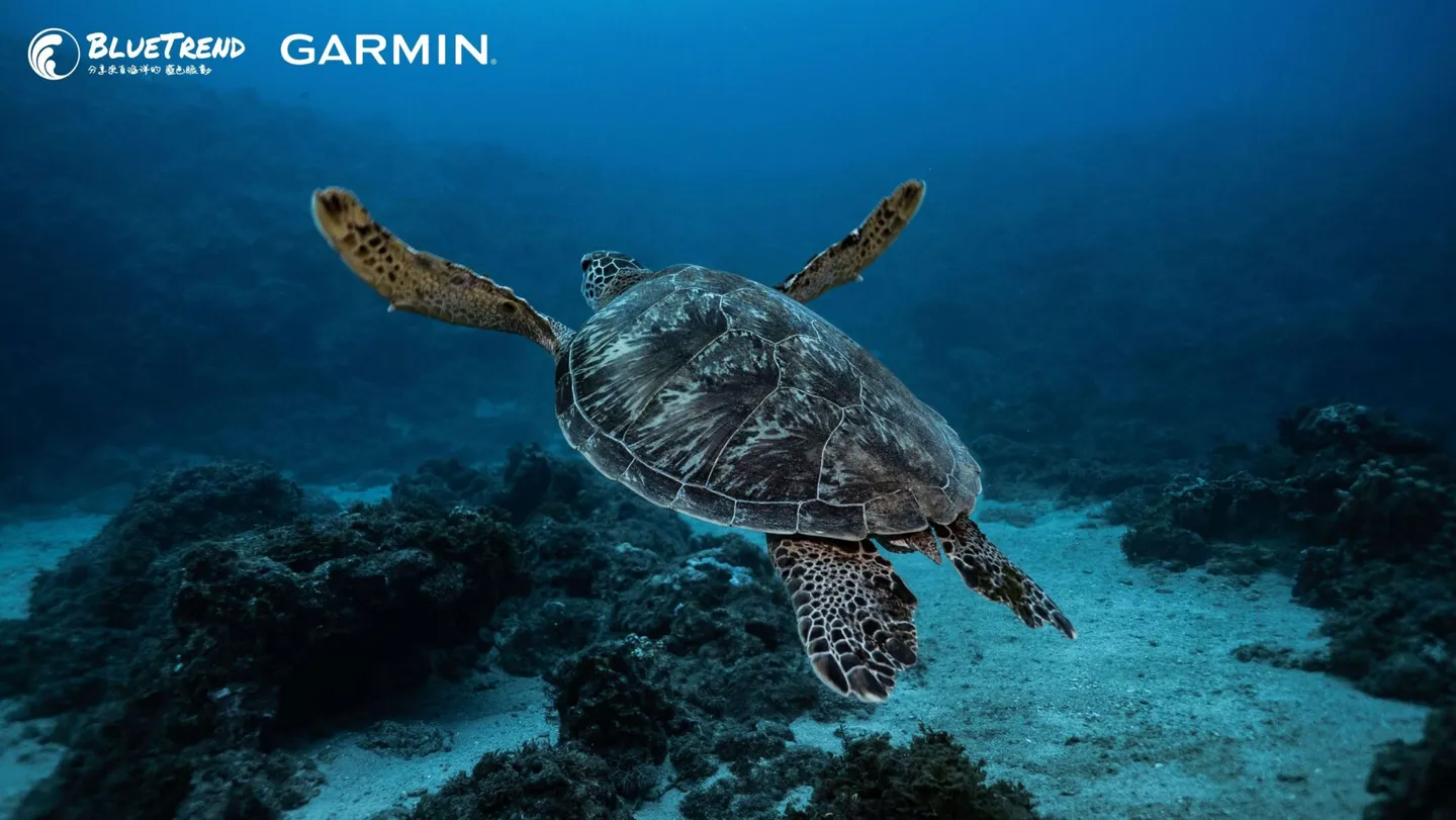 Garmin mk1 潛水電腦錶