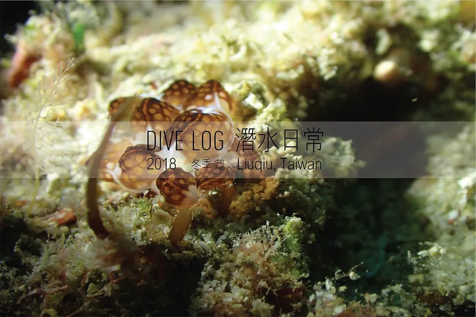 OCEAN LOG 小琉球海洋日常 #1 - 徐伯元