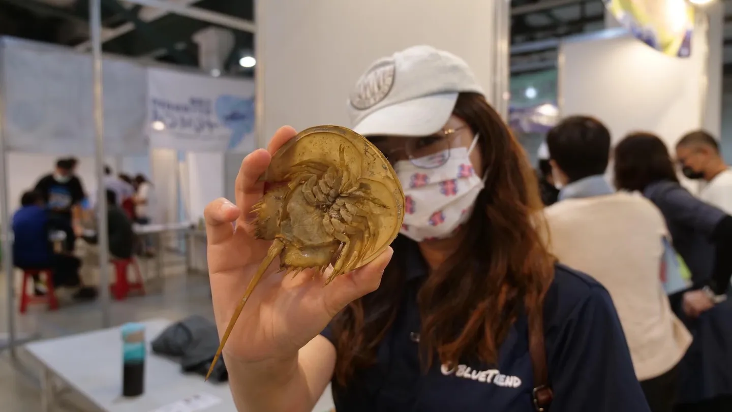 用在地的方式守護海洋，尋求共鳴是跨過同溫層的第1步