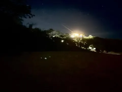 憂燈光讓海龜誤判方向，澳洲蒼鷺島「關燈」成默契，小琉球呢？