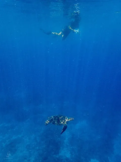 bluetrend