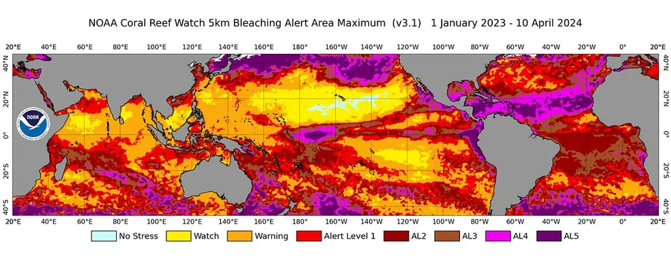 NOAA的珊瑚礁觀察(Coral Reef Watch)顯示2023年1月1日至2024年4月10日期間的珊瑚白化警戒值 (圖片來源:NOAA)
