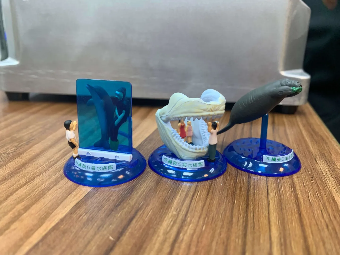 The "human" theme gashapon inside Churaumi Aquarium