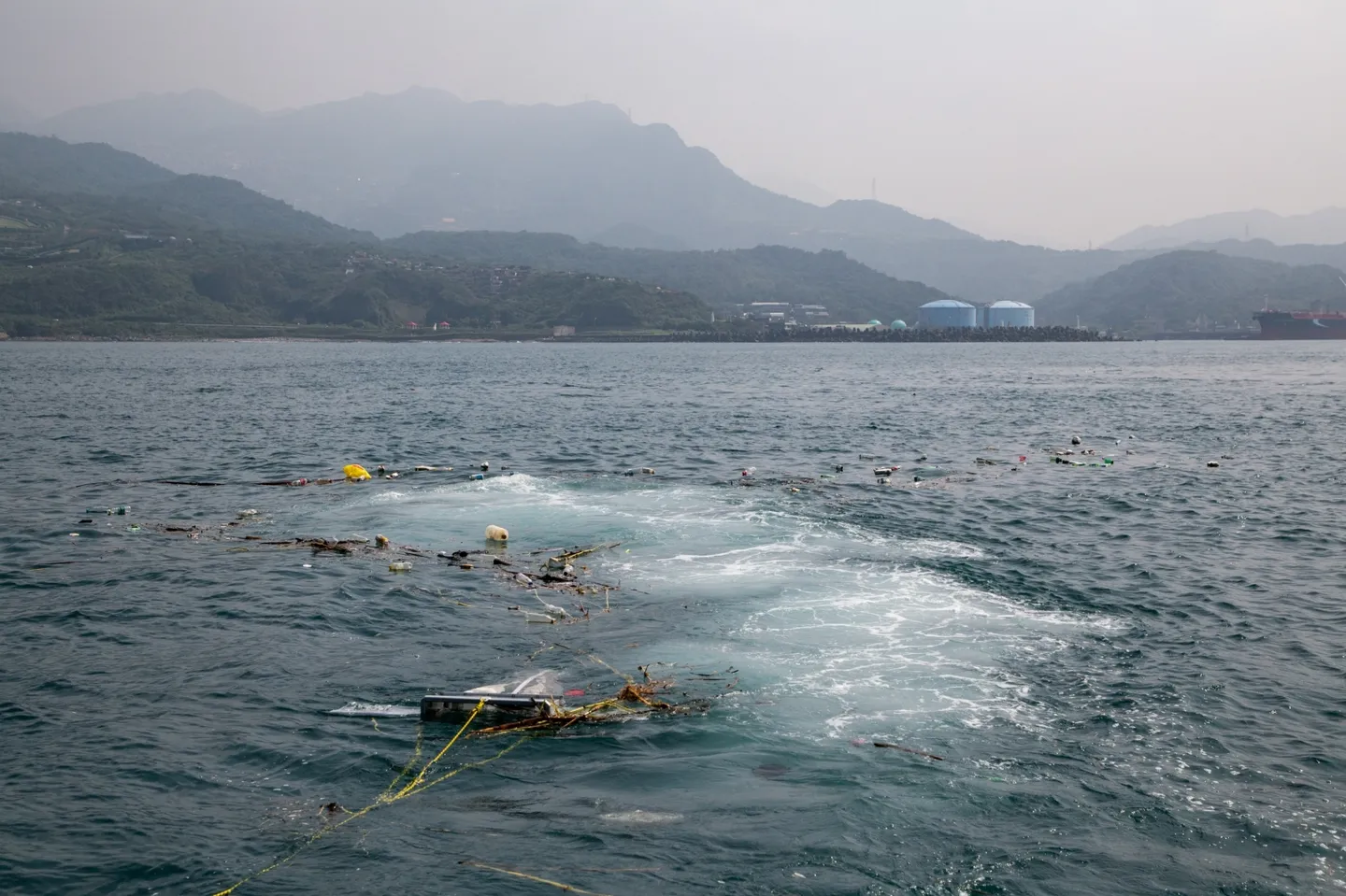集眾之力的守護行動：你也能成為說走就走的「海廢」公民科學家！