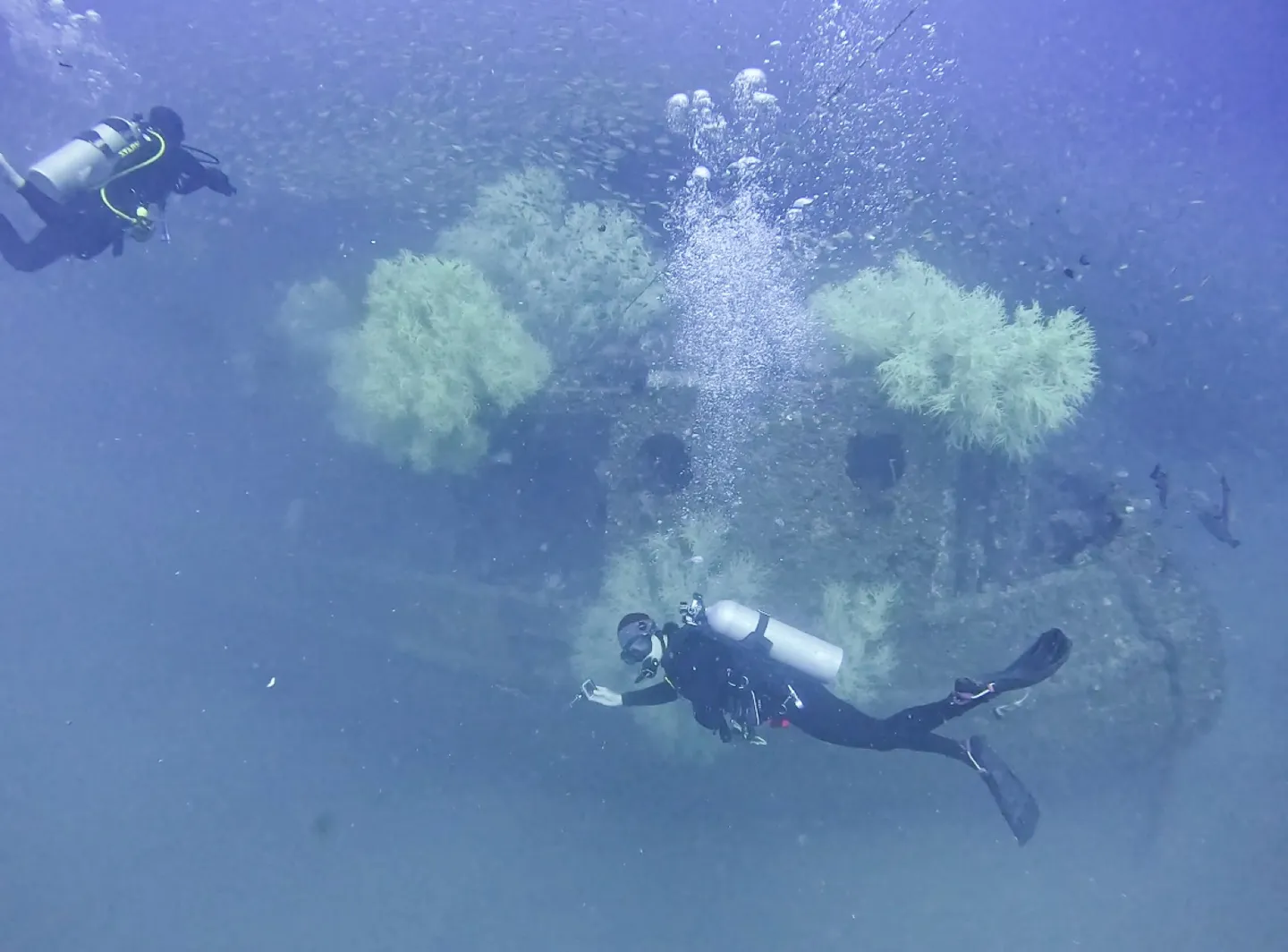 兩個潛水員在 Bolkiah Wreck 船體旁巡游