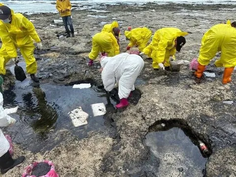 逾五縣市海岸出現「油污染」，除了緊急通報之外，你還可以做什麼？