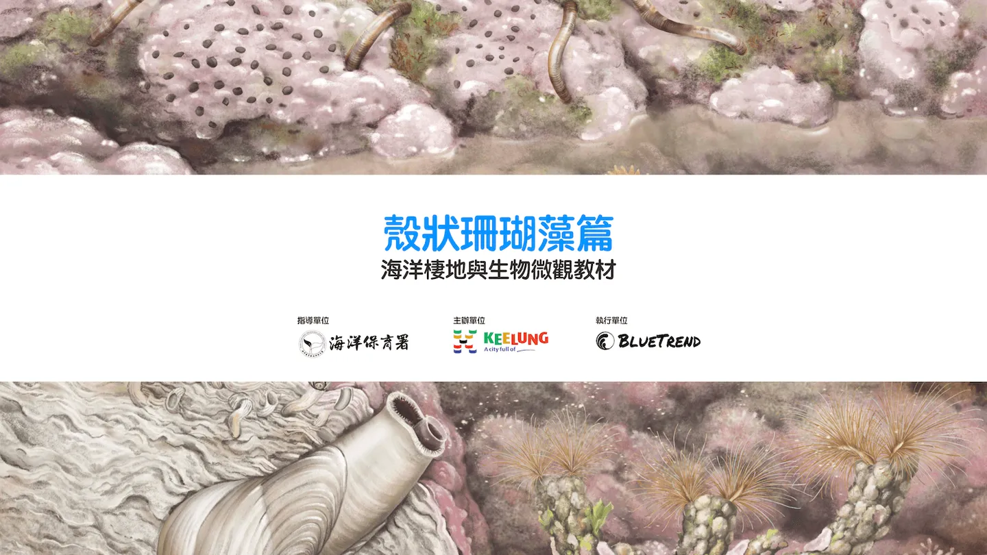 【布魯小教室】殼狀珊瑚藻篇｜海洋棲地與生物微觀教材Part 4 ft. 海保署、基隆市政府