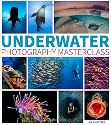 學習水下攝影推薦書單：Underwater Photography Masterclass