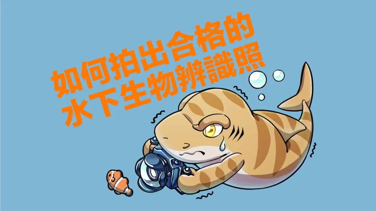 海洋公民科學家的第 1 堂課-如何拍出水下生物辨識照