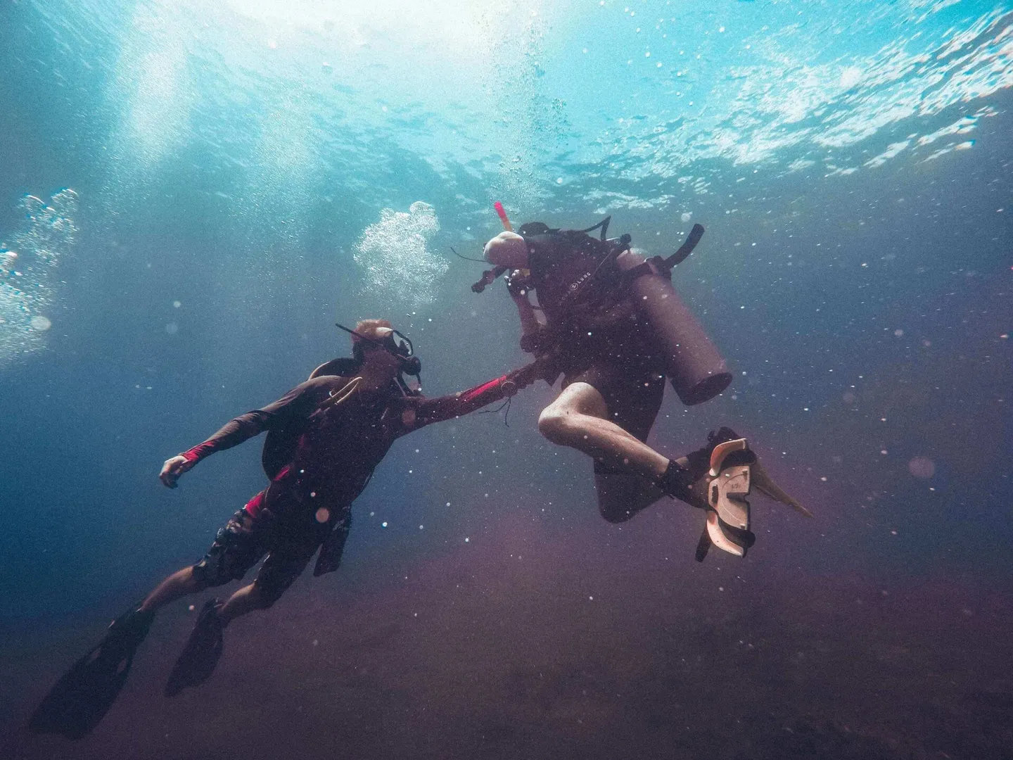 學潛水 體驗潛水 padi sdi tdi