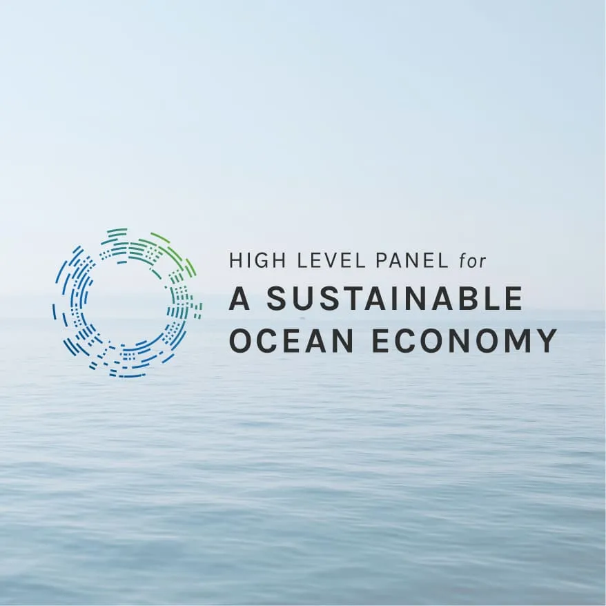 圖表：海洋專責小組為防止海洋污染而存在