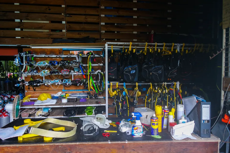 墾丁潛水 padi albee
