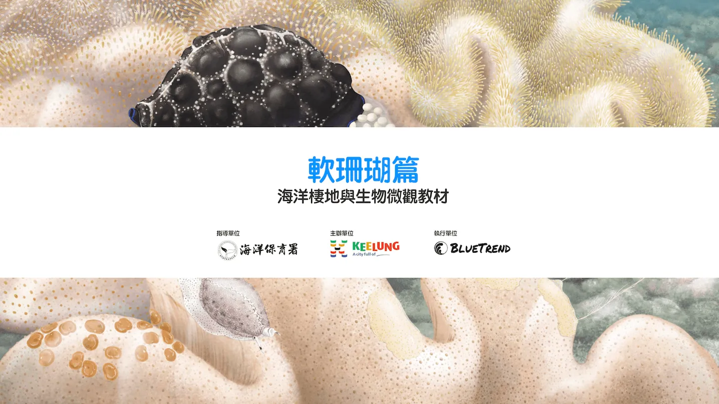 【布魯小教室】軟珊瑚篇｜海洋棲地與生物微觀教材Part 5 ft. 海保署、基隆市政府