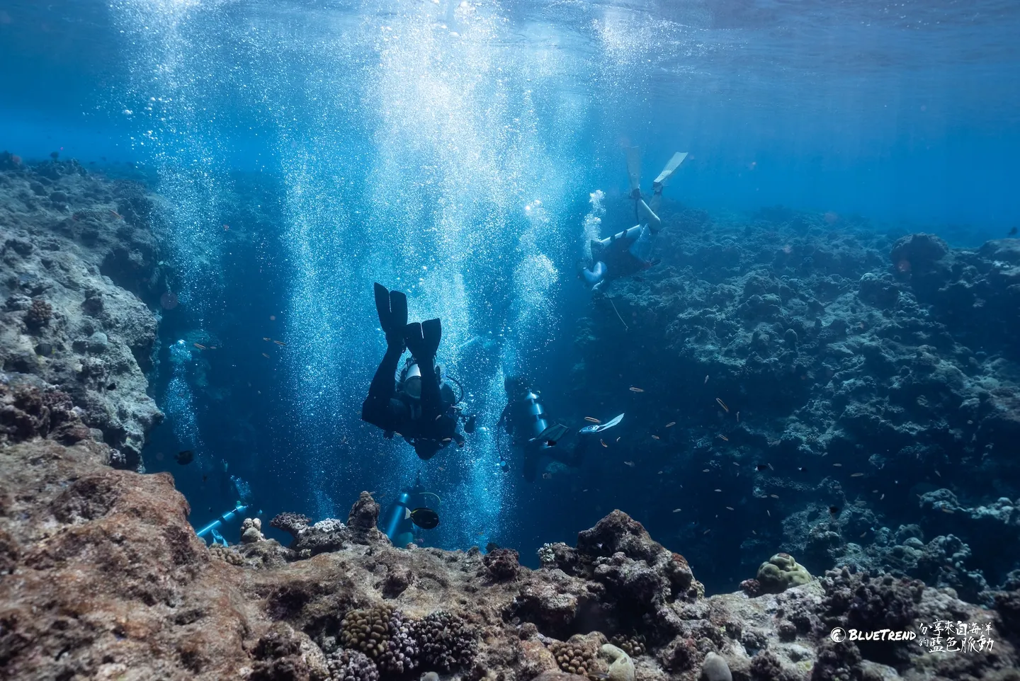 A US$20 Billion Boom in the Diving Industry! How Scuba Diving Can Be More Than Just a Leisure Activity